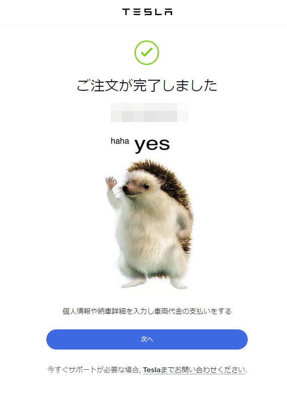 テスラ モデル3、買っちった/// (ロングレンジ 2021年モデル ギガ上海製のレビュー) - さわっても熱くない花火