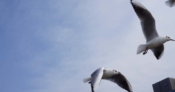 Spotifyをやめた話。｜泉水マサチェリー｜note