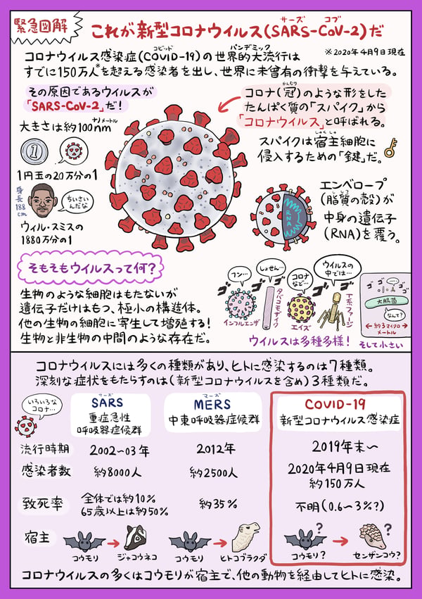 緊急図解 これが SARS-CoV-2 だ