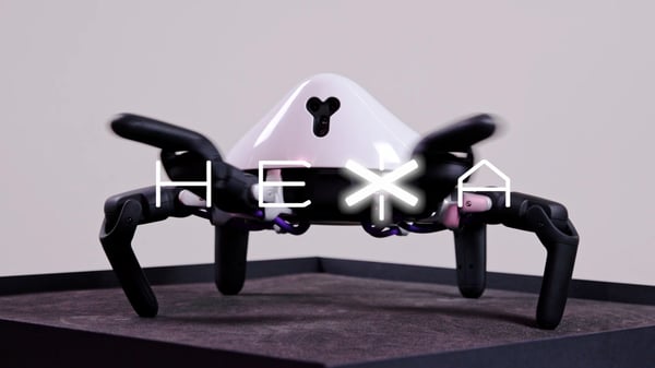 HEXA - Vincross
