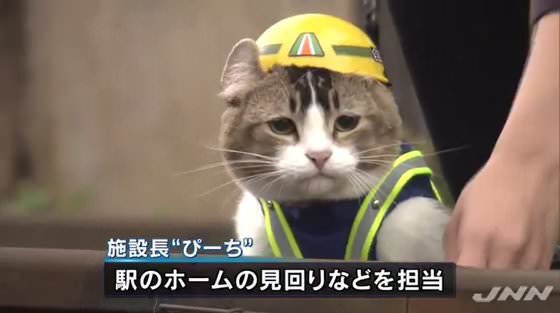 施設長"びーち" 駅のホームの見回りなどを担当