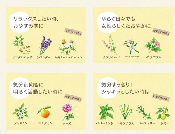 エッセンシャルオイルの選び方 | ハーブ専門店 enherb (エンハーブ)
