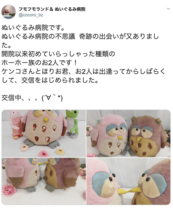 ホーホー族